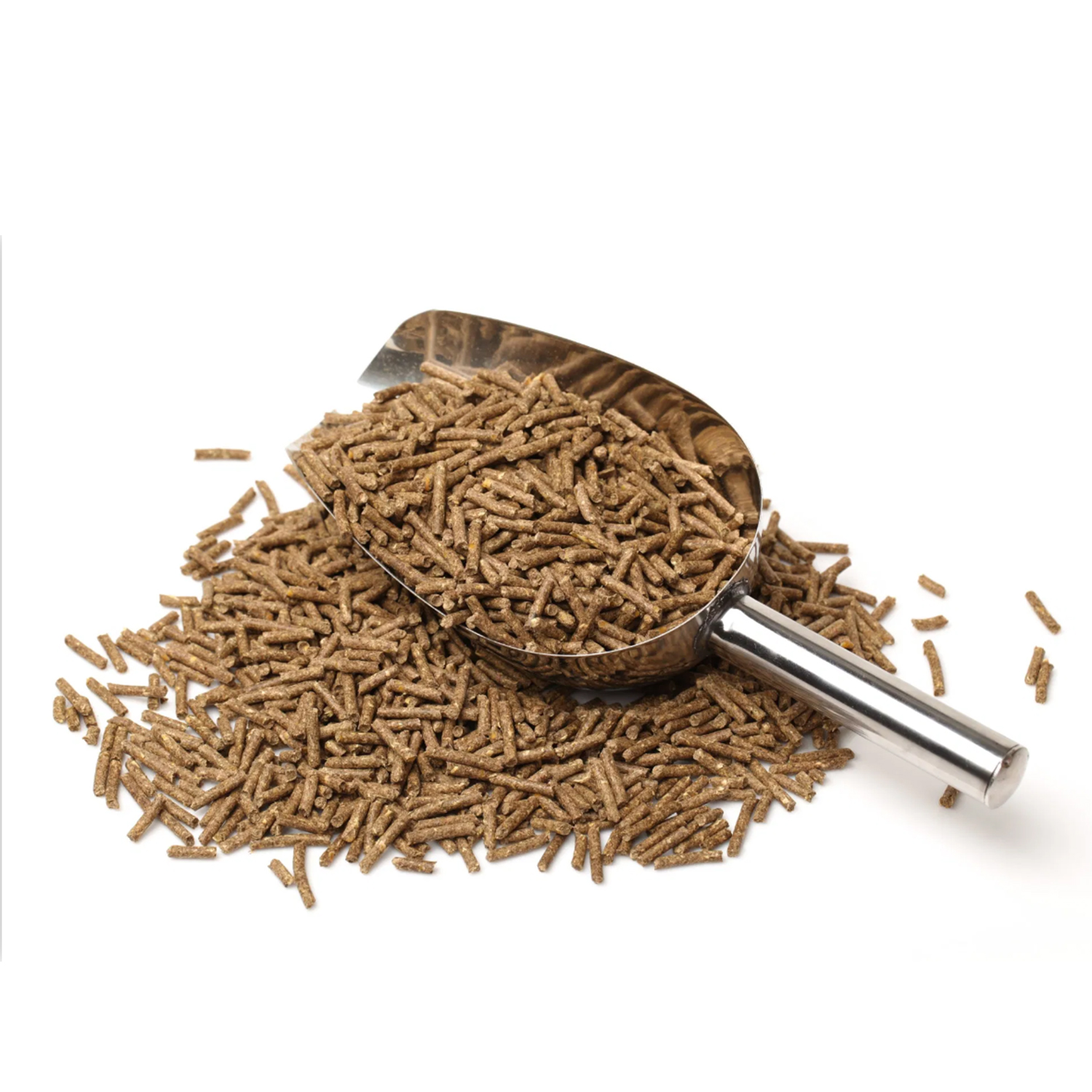 Produktansicht - Equanis - DetoxBooster