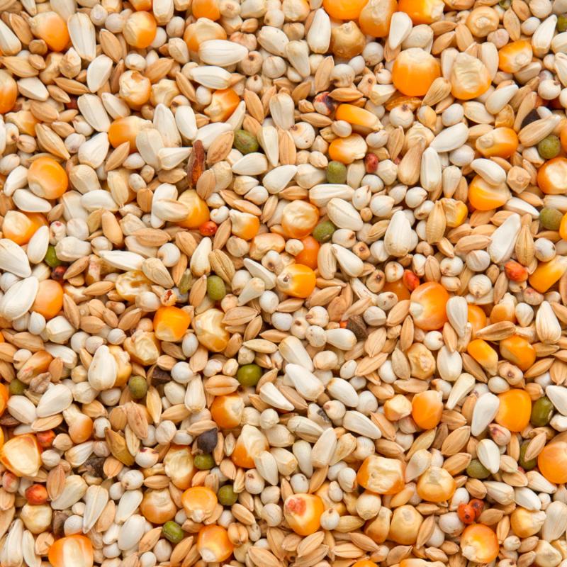 Produktansicht - Beyers - Premium Vandenabeele