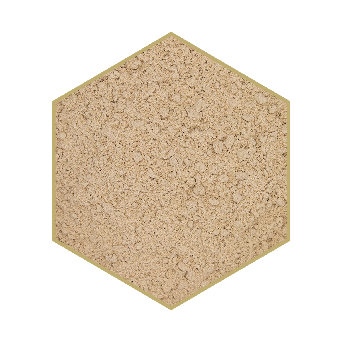 WES Protein Booster