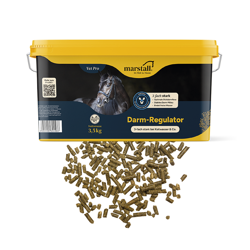 Darm-Regulator