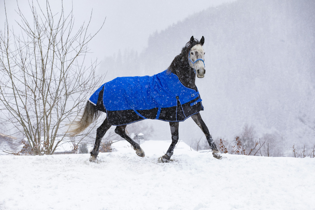 Produktansicht - EQUITHÈME - Tyrex Aisance Outdoordecke High Neck 1200D