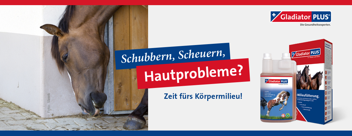 Bild - gladiator_hautprobleme_pferd_t_072025