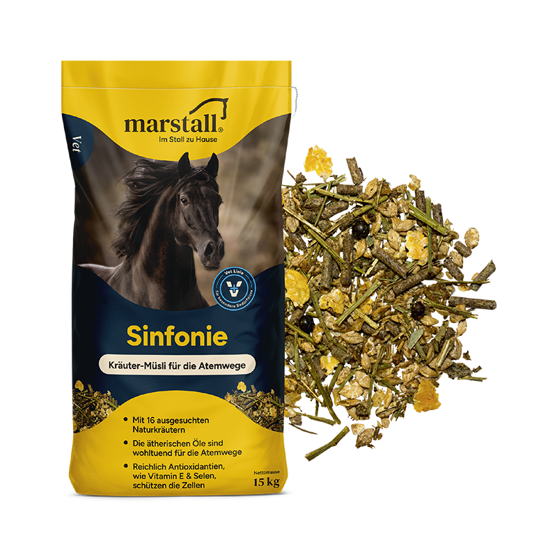 Sinfonie