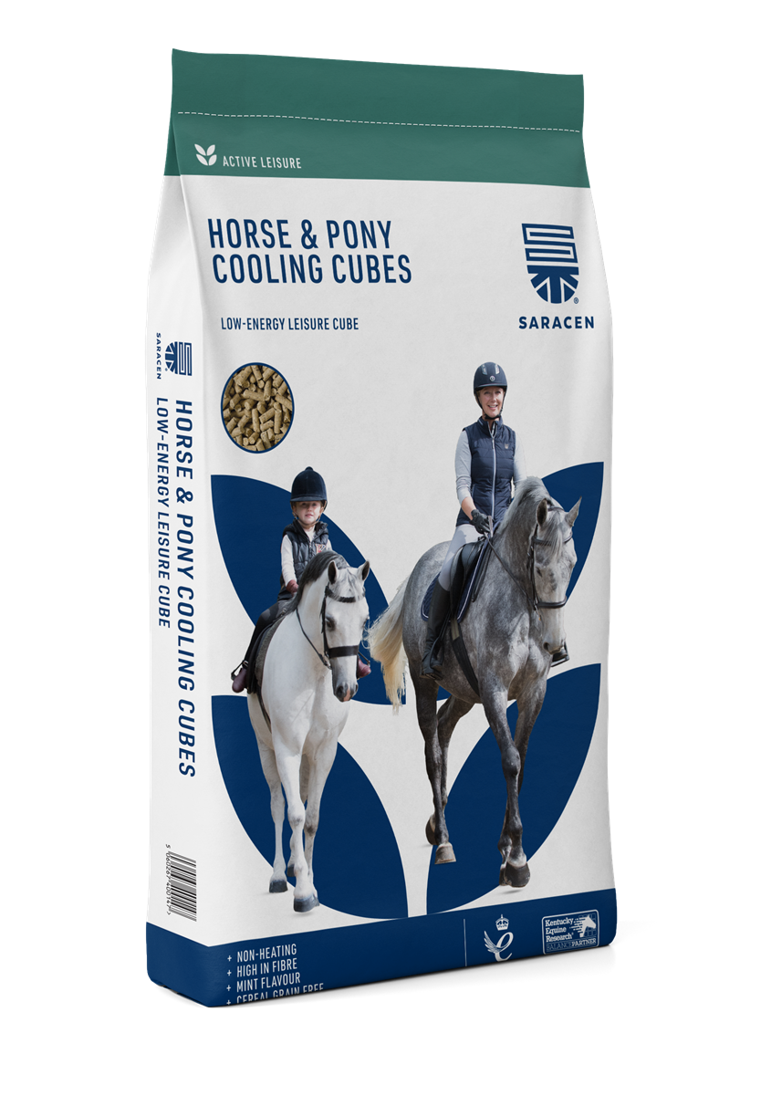 Horse & Pony Cooling Cubes