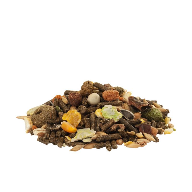 Cuni Fit Müsli Detail