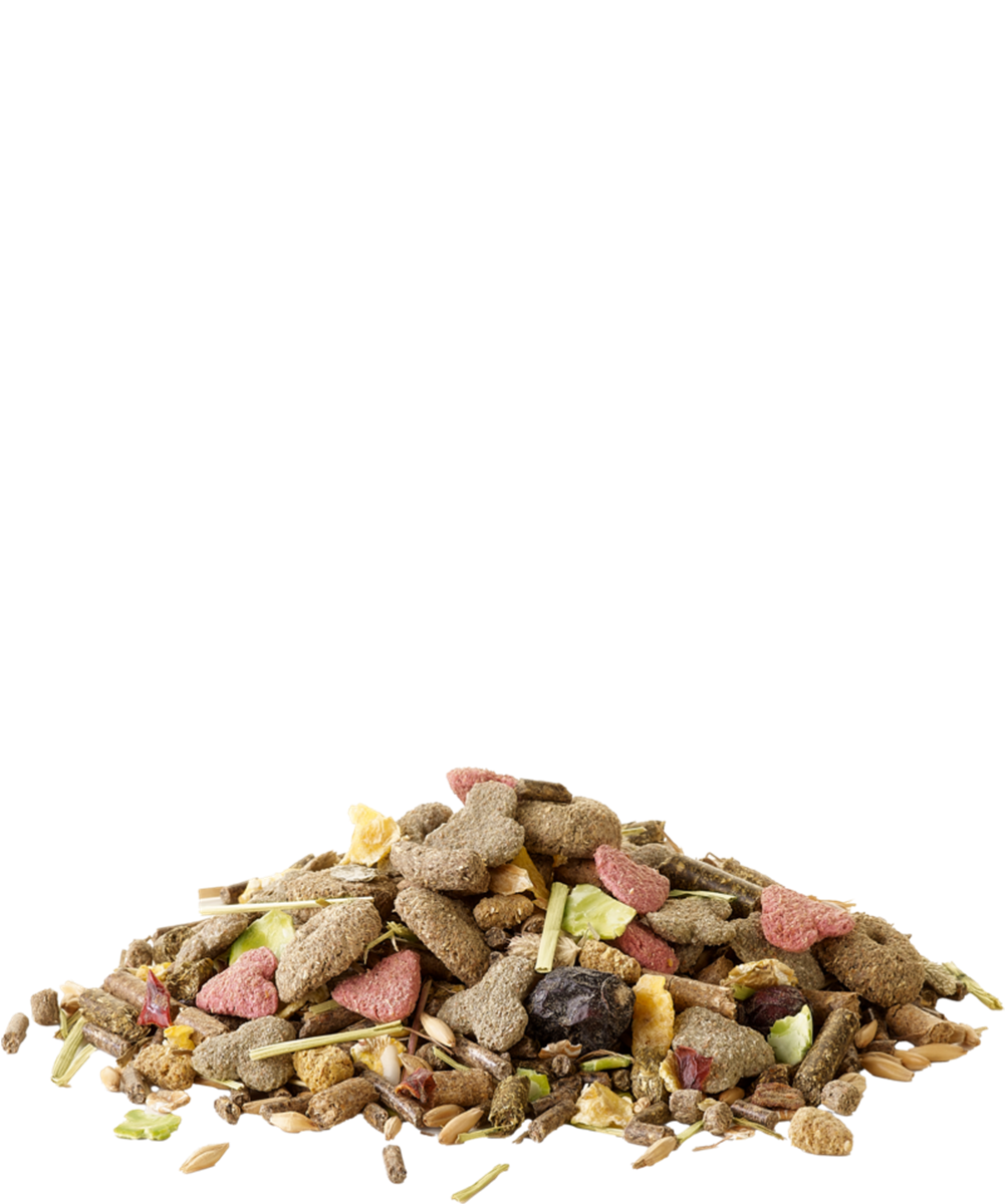 Müsli Meerschweinchen