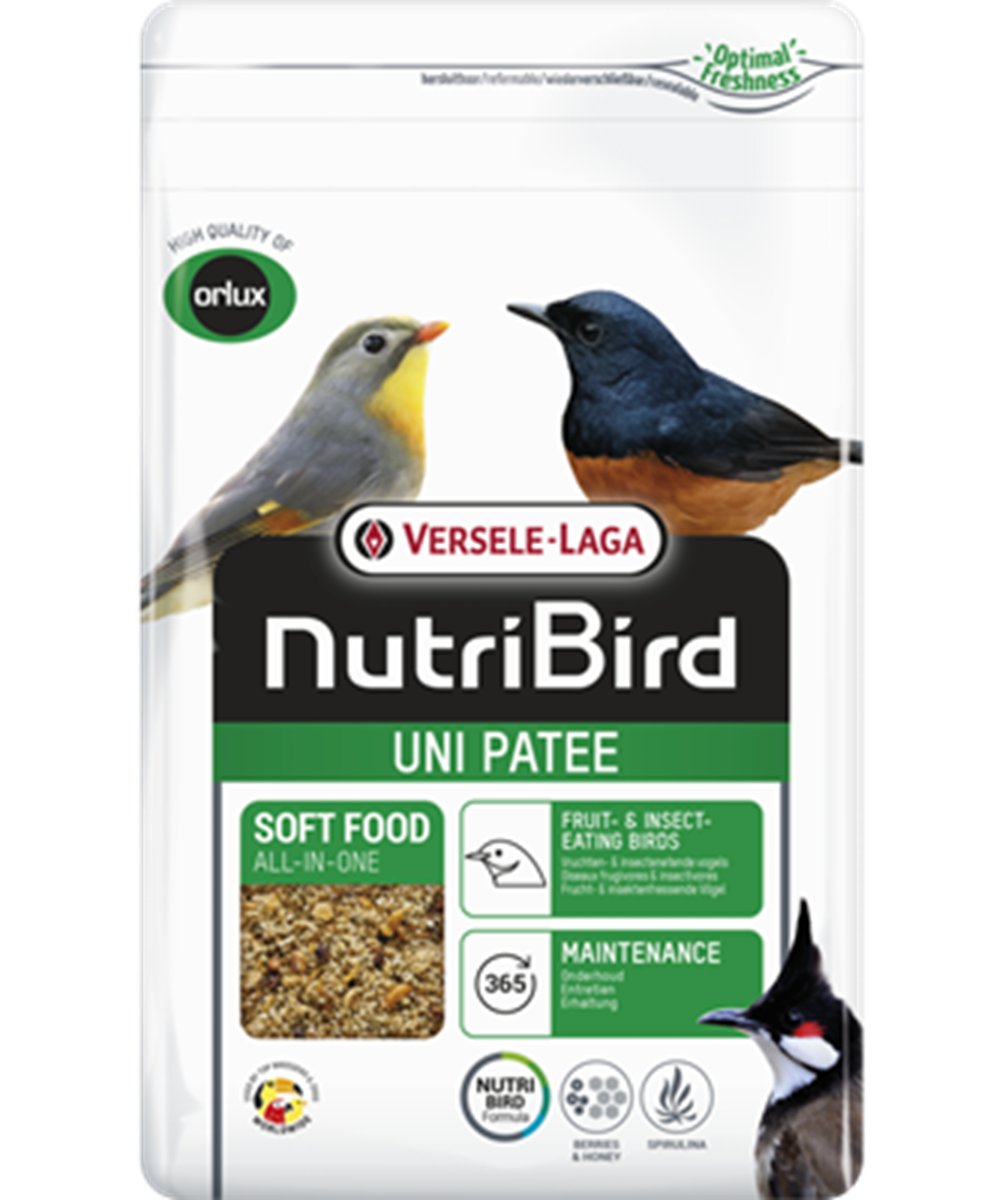 Uni Patee