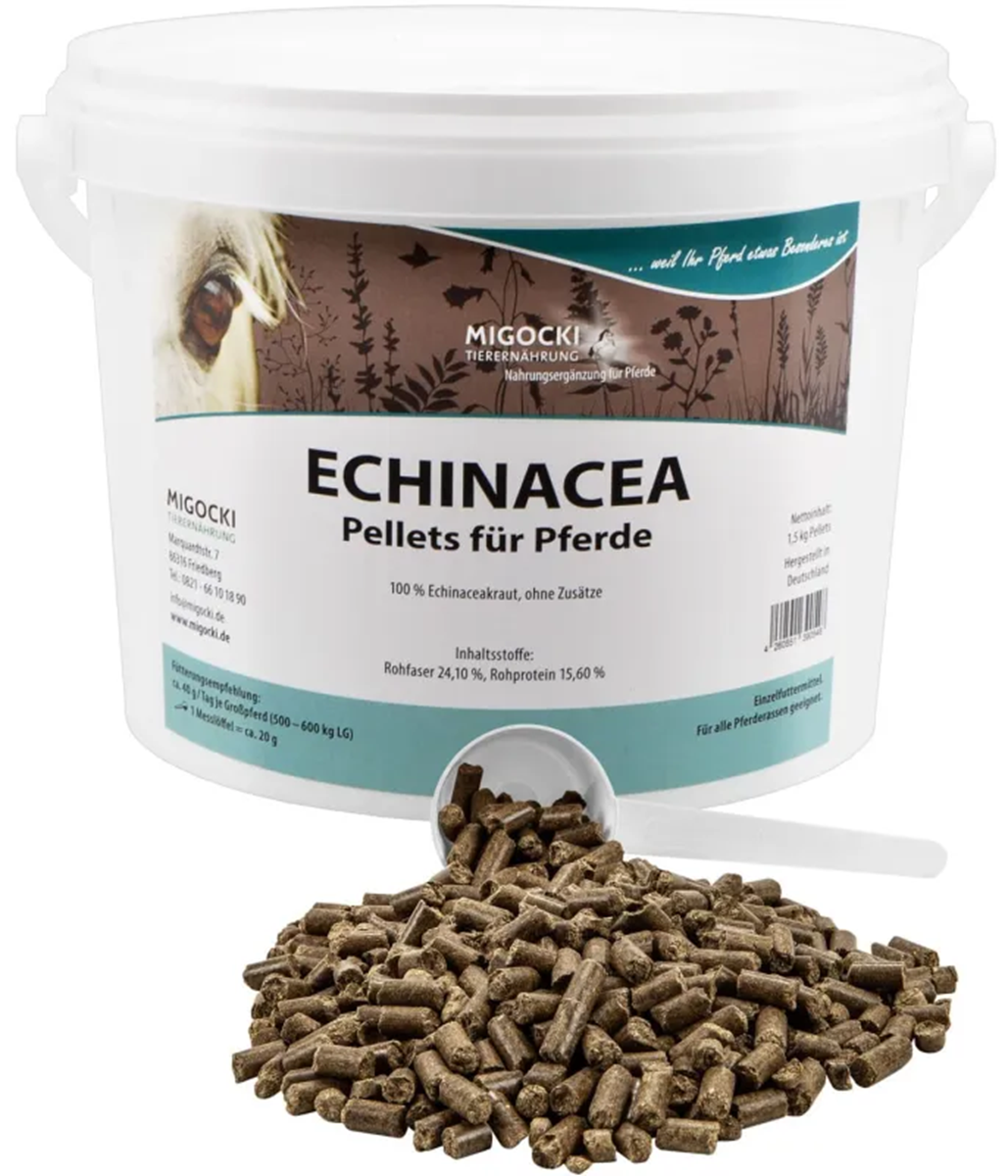 ECHINACEA für Pferde