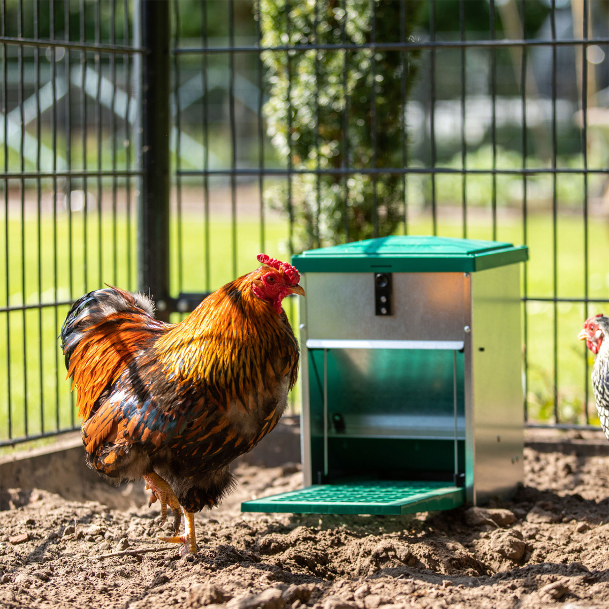 Olba Feedomatic Futterautomat mit Trittklappe für 5 kg Detail