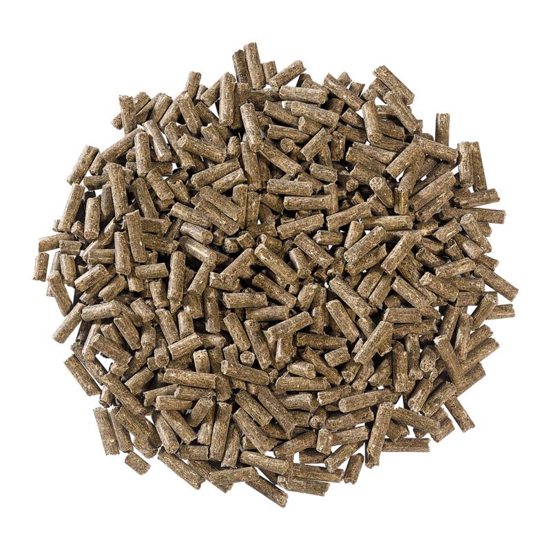 Derby Zucht Pellets Detailbild