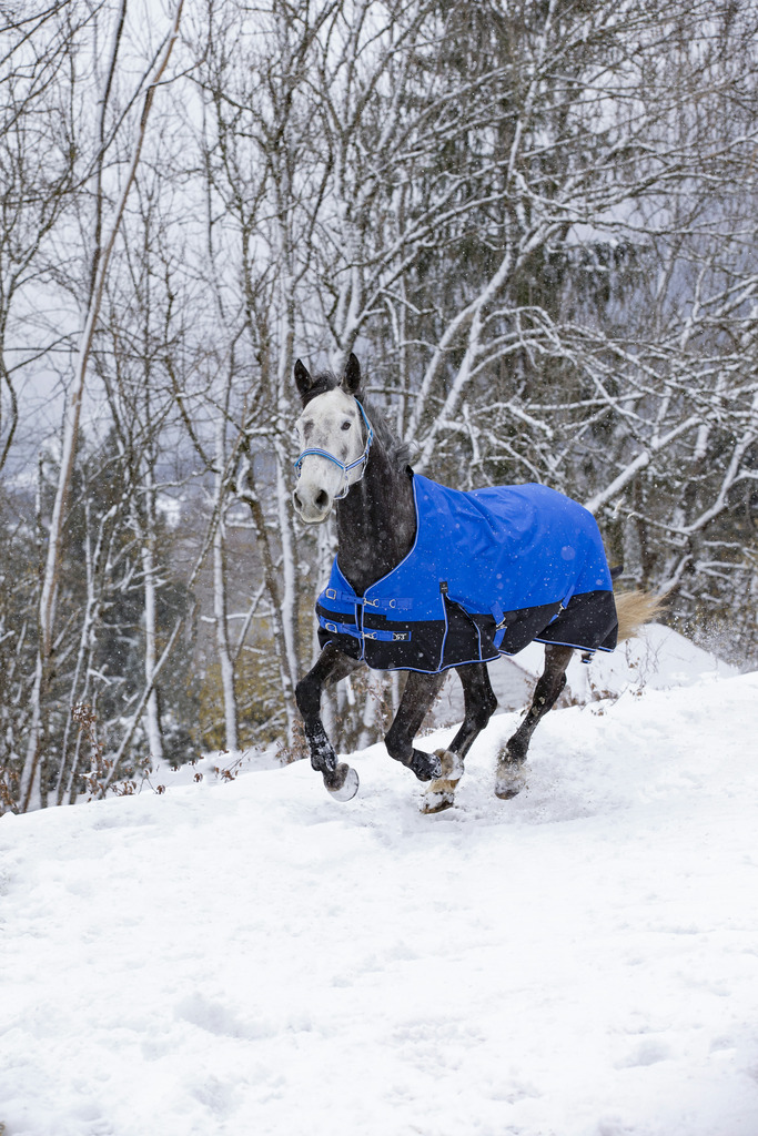 Produktansicht - EQUITHÈME - Tyrex Aisance Outdoordecke High Neck 1200D