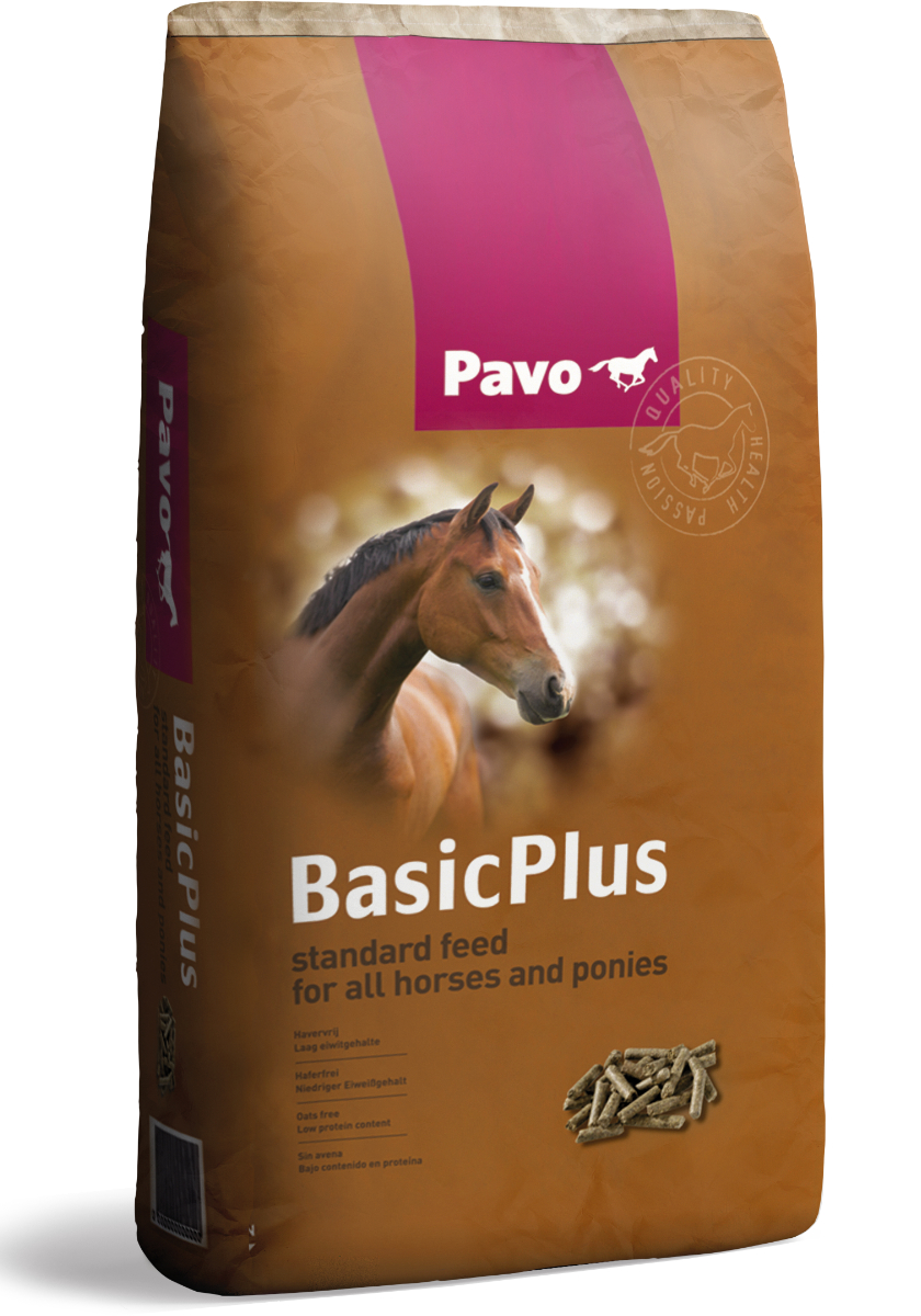 BasicPlus