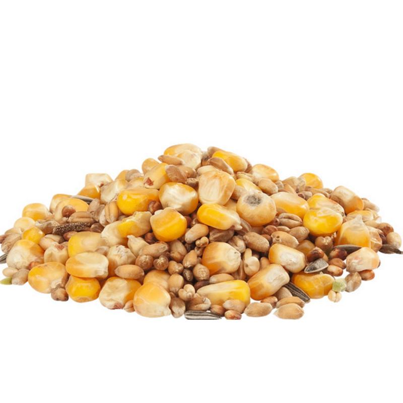 Versele-Laga Country's Best Gra-Mix Hennen Mischung Detail