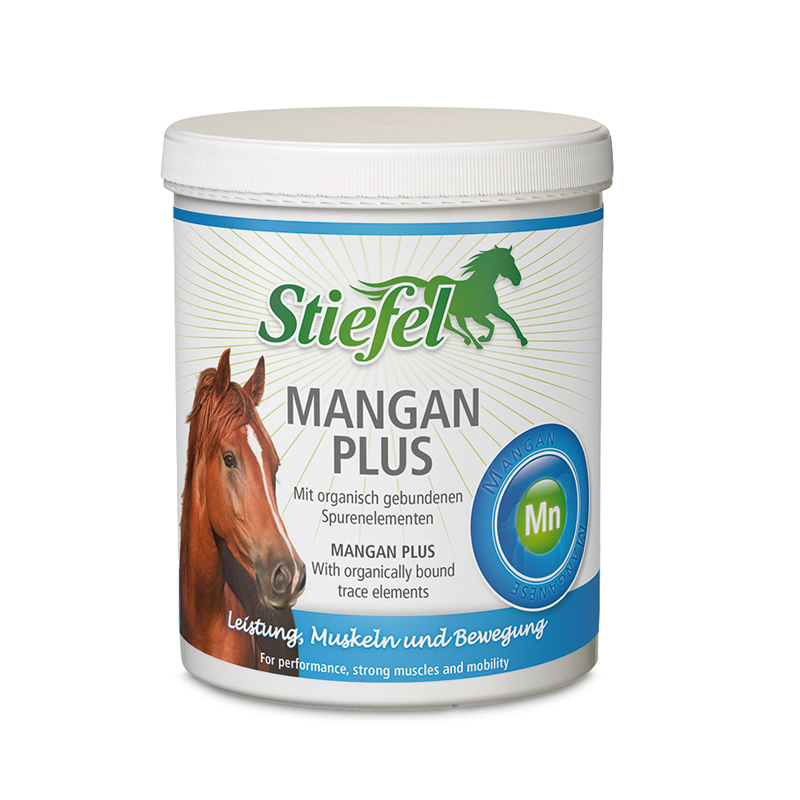 Stiefel Mangan Plus