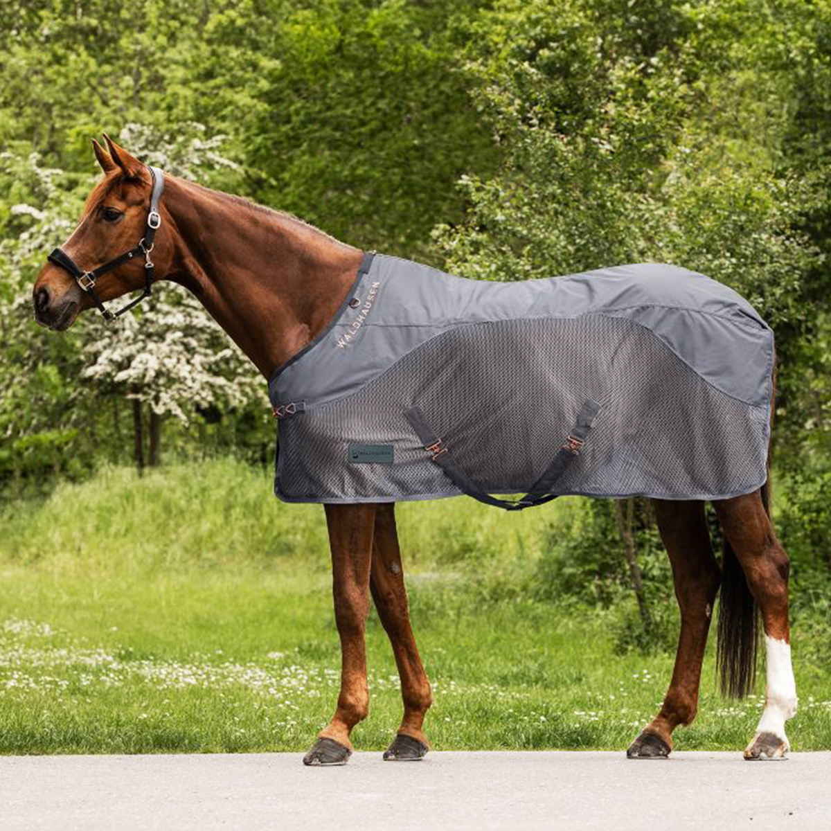 Produktansicht - Waldhausen - Regen-Fliegendecke Comfort