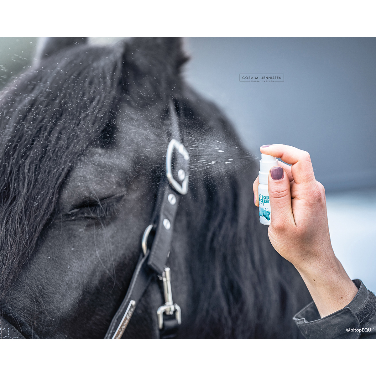 Produktansicht - bitopEQUI® - EYE Spray