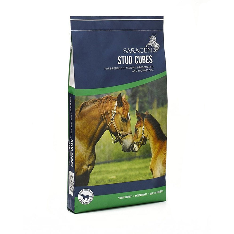 Saracen Stud Cubes