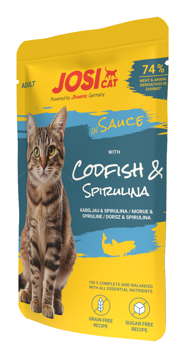 with codfish in sauce