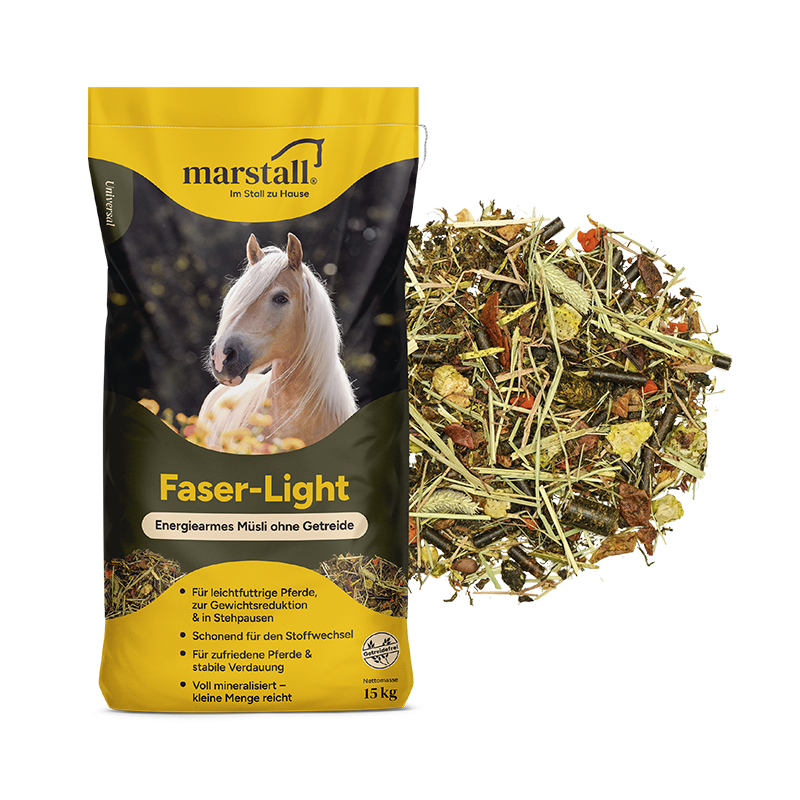 Faser-Light
