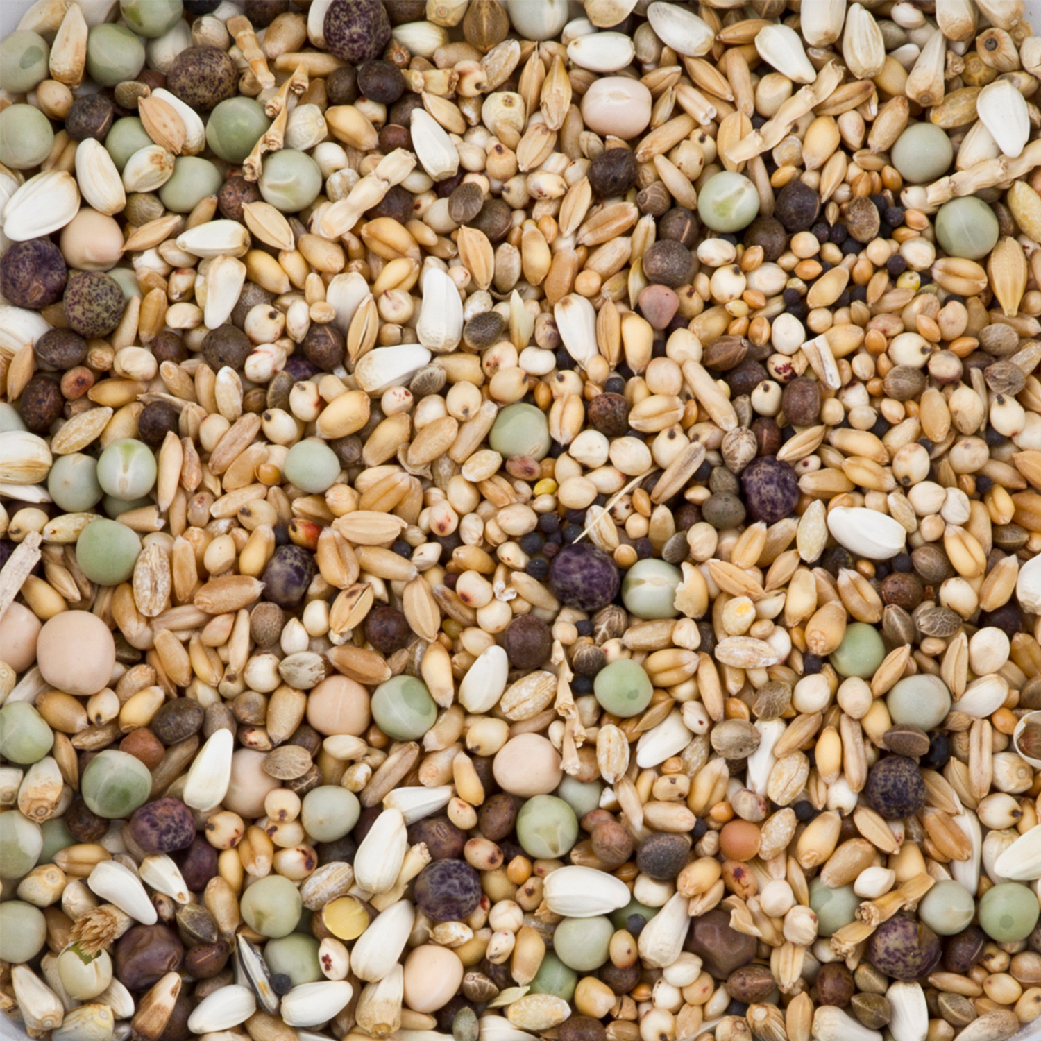 Beyers Deli Nature DoviX ohne Mais Detail