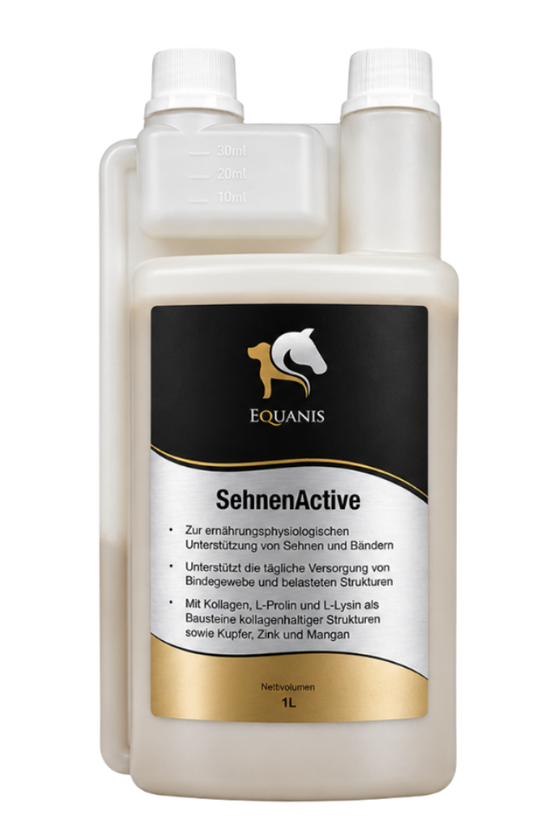SehnenActive