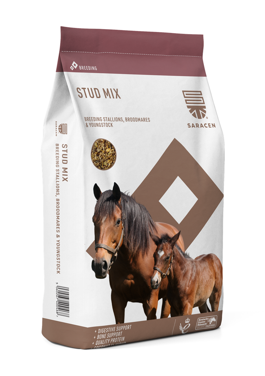 Stud Mix