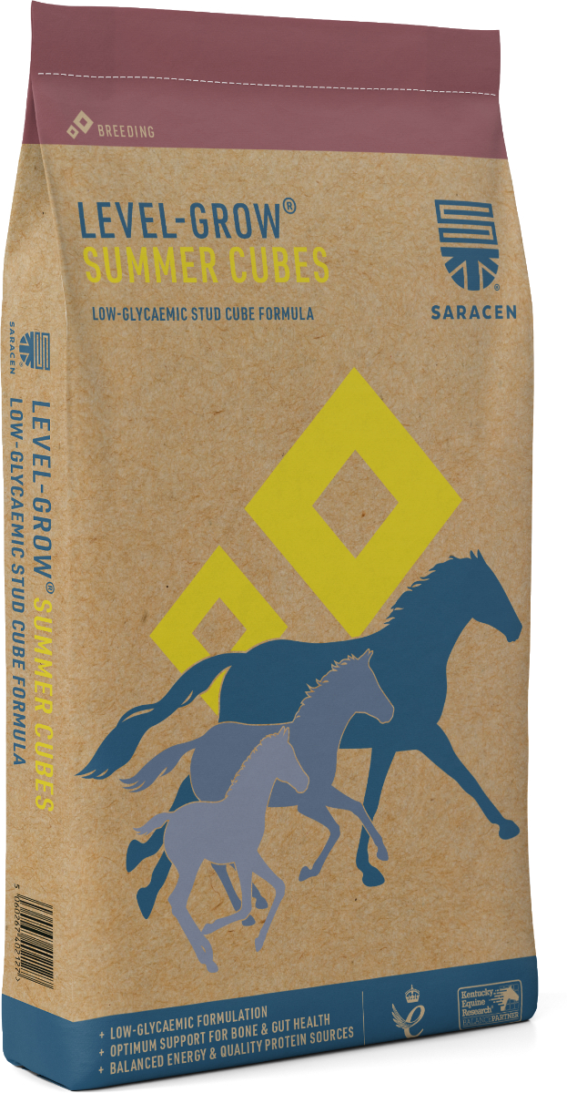 Level-Grow Summer Cubes