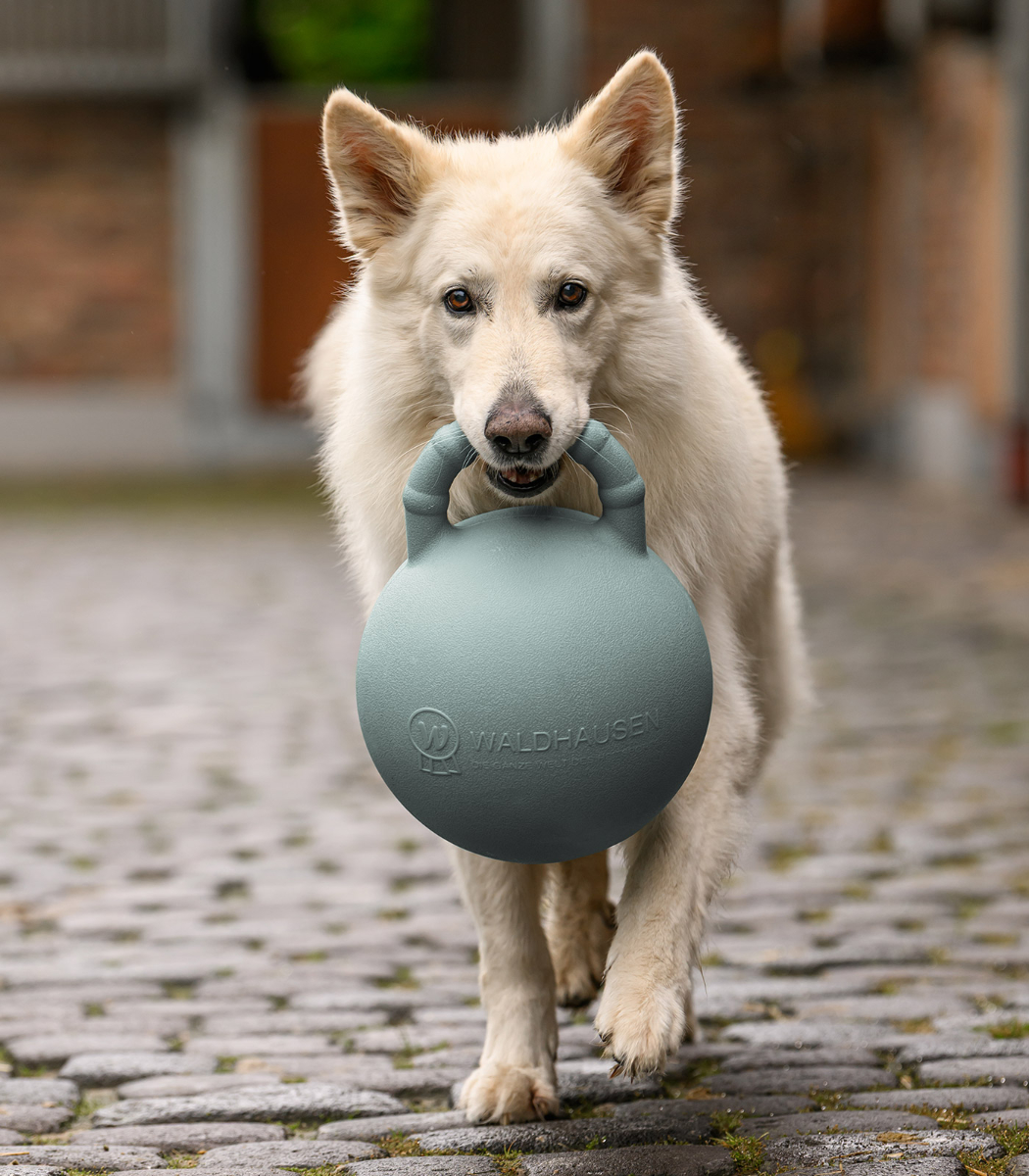 Fun Ball
