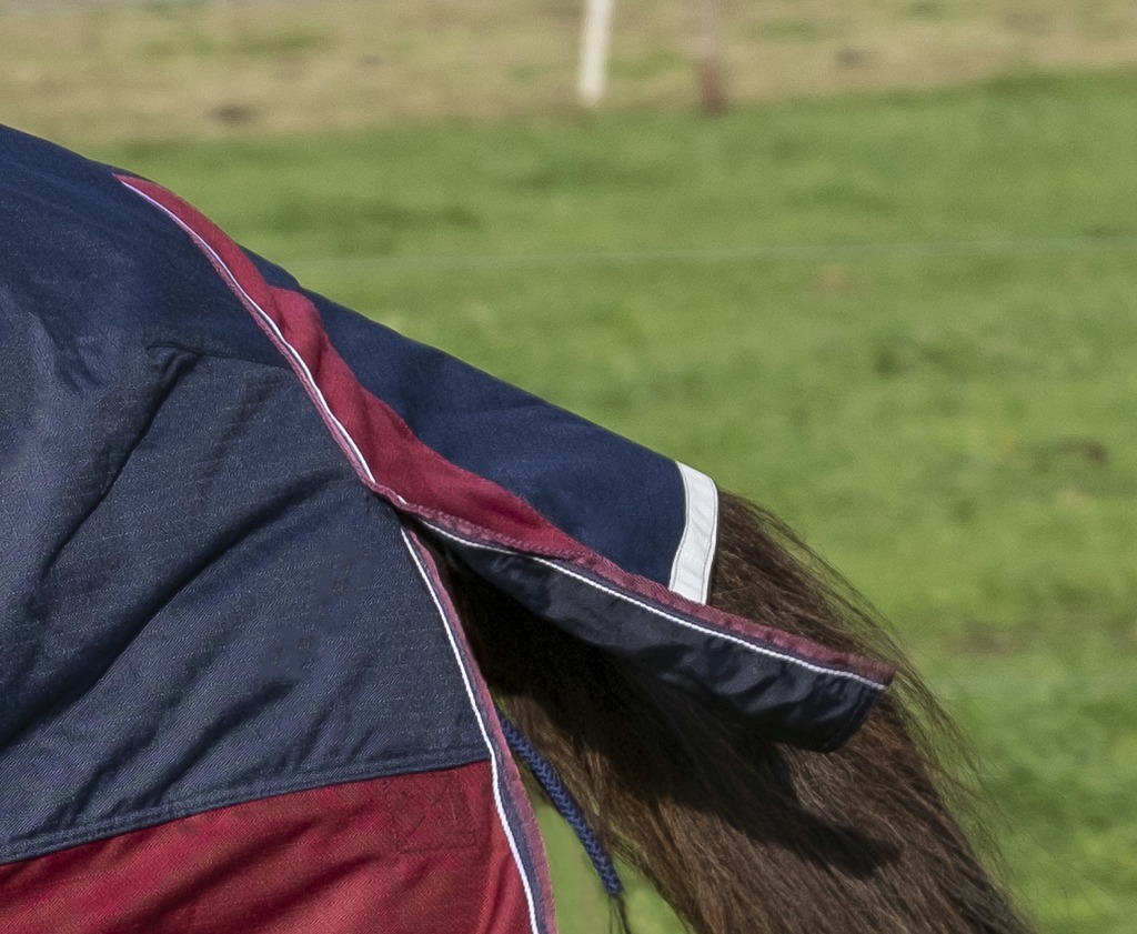 Produktansicht - EQUITHÈME - Tyrex Outdoordecke High Neck 1200D