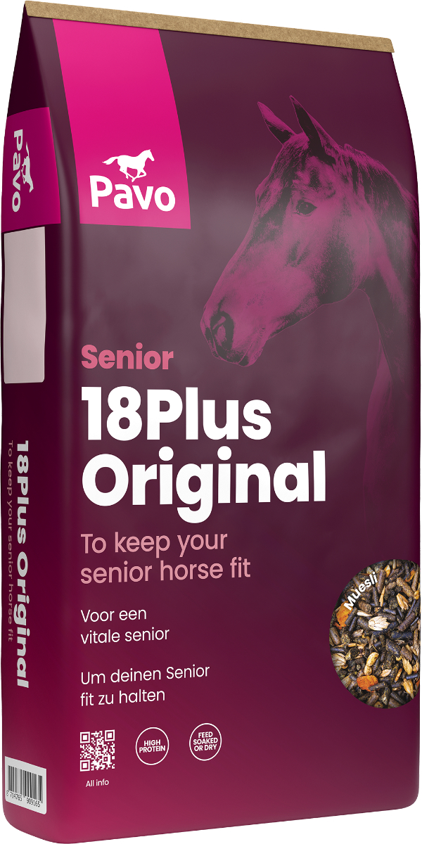 18Plus Original