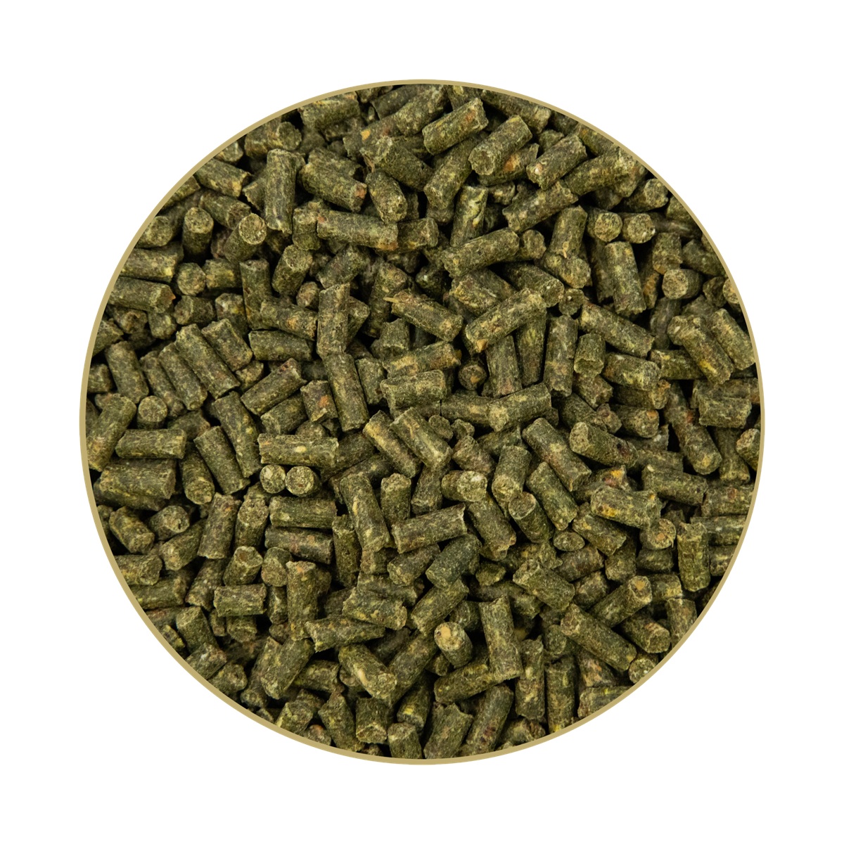 Kernkraft Muskel Plus