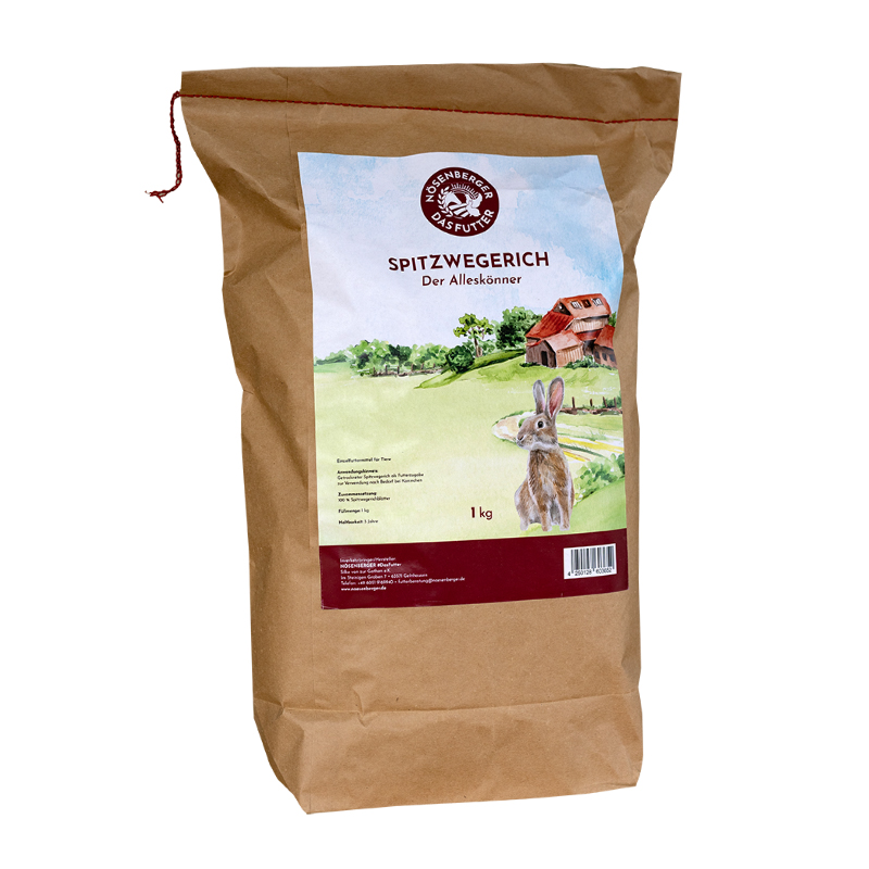 Nösenberger Spitzwegerich