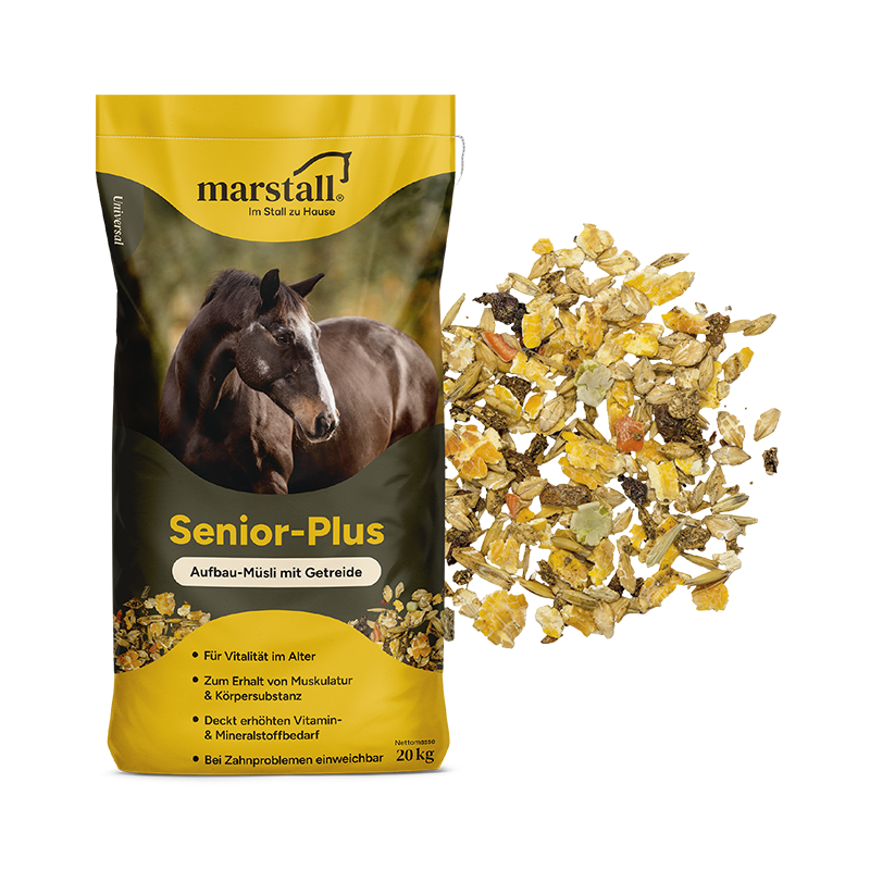 Senior plus