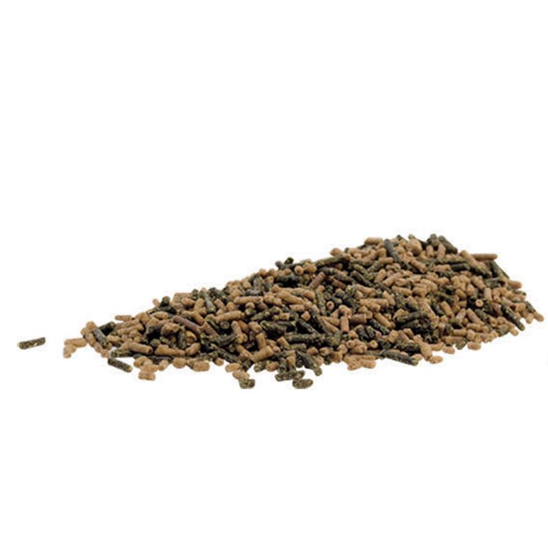 Pavo Biotin Forte Detail