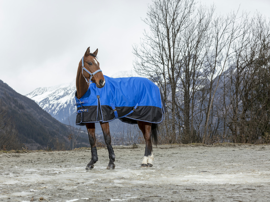 Produktansicht - EQUITHÈME - Tyrex Aisance Outdoordecke High Neck 1200D