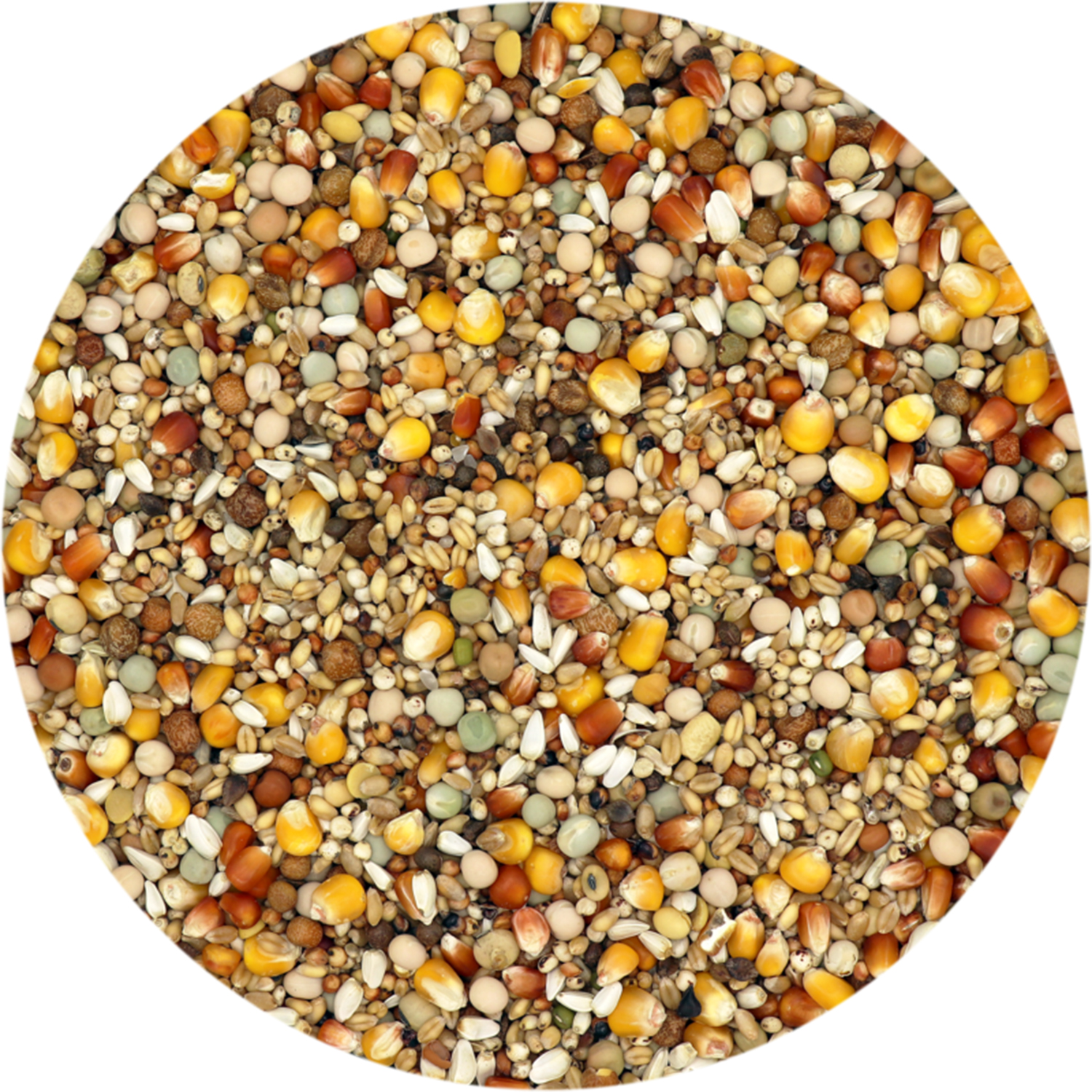 Versele-Laga Traditional Zucht & Reise Detailbild Futter