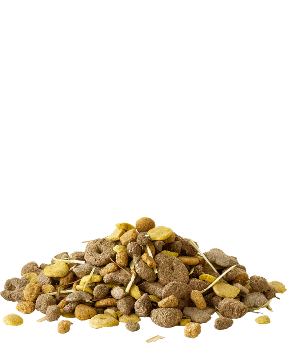 Snack with Fibres