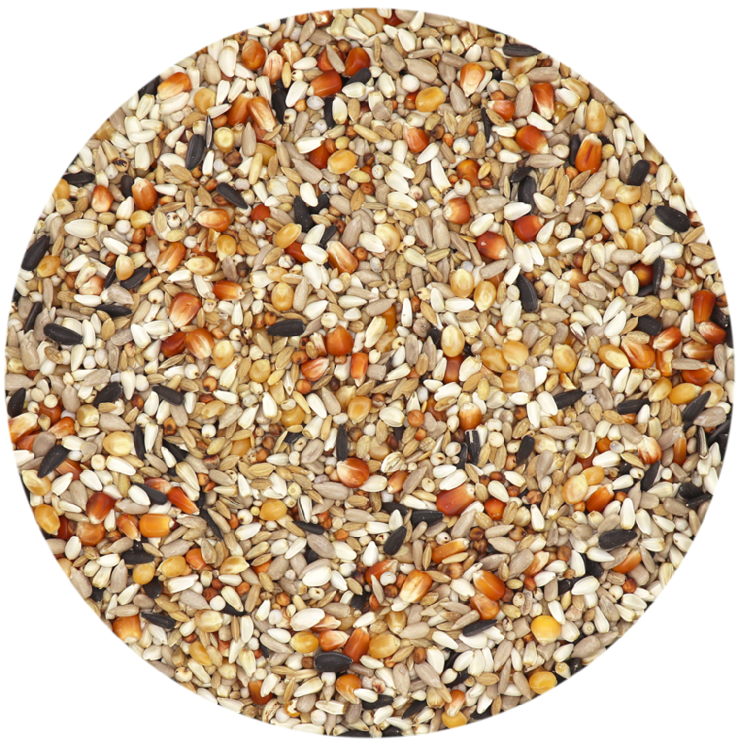 Versele-Laga Traditional Premium Hirn Mischung 3 Detail