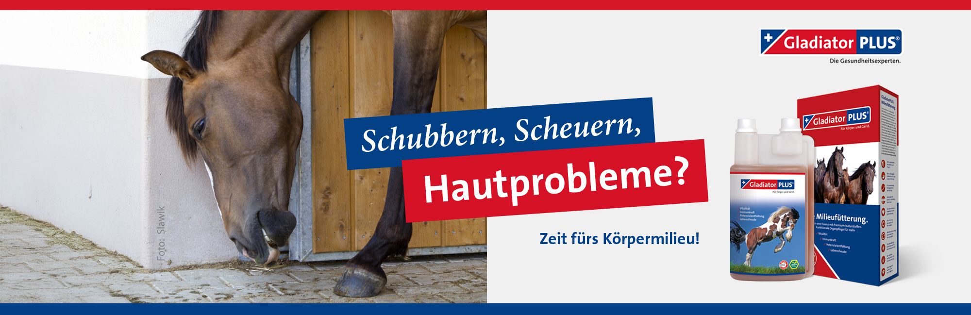 Bild - gladiator_hautprobleme_pferd_mq_072025