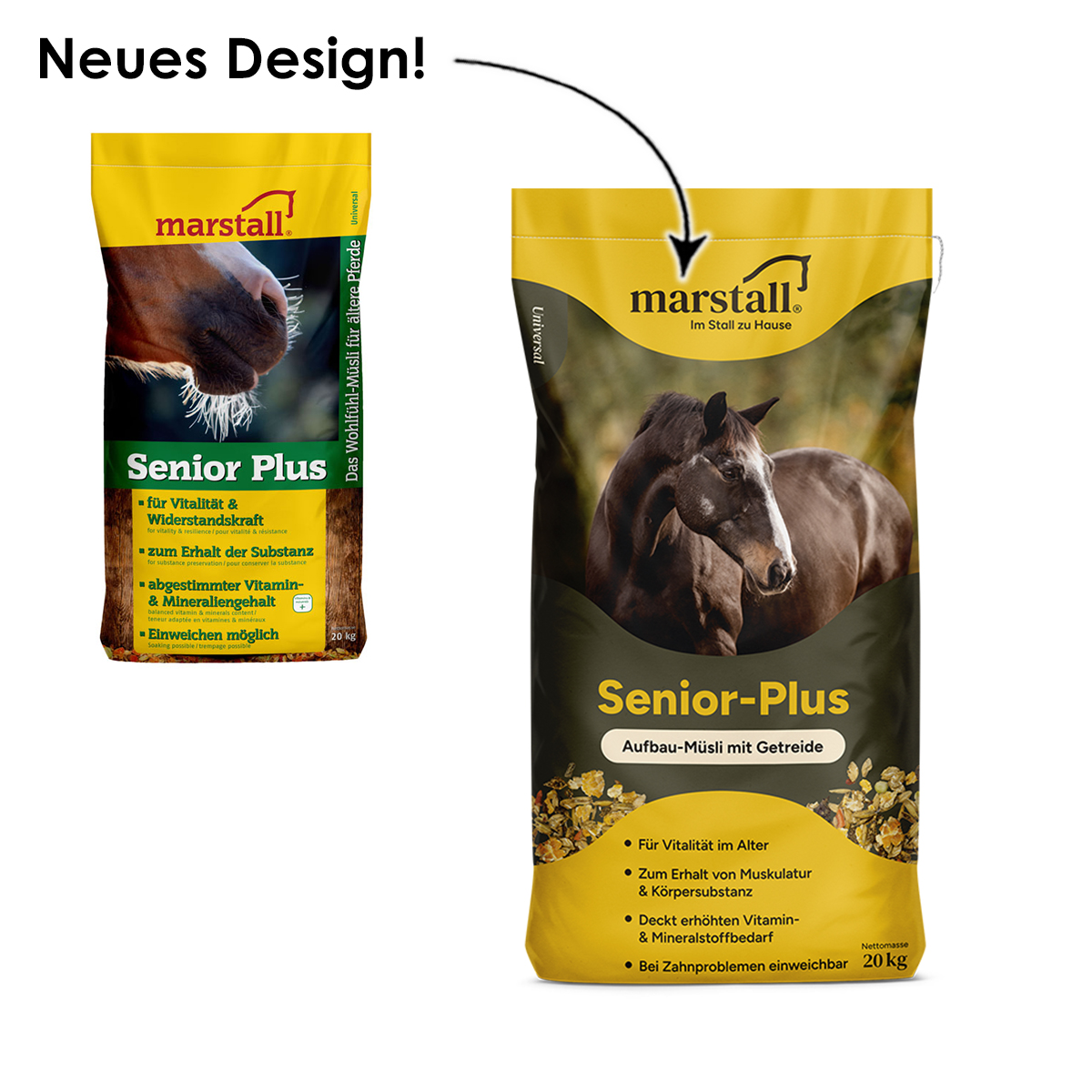 Senior plus