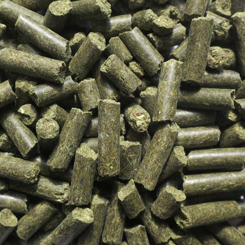 Eohippos More Fibre Detailbild Pellets