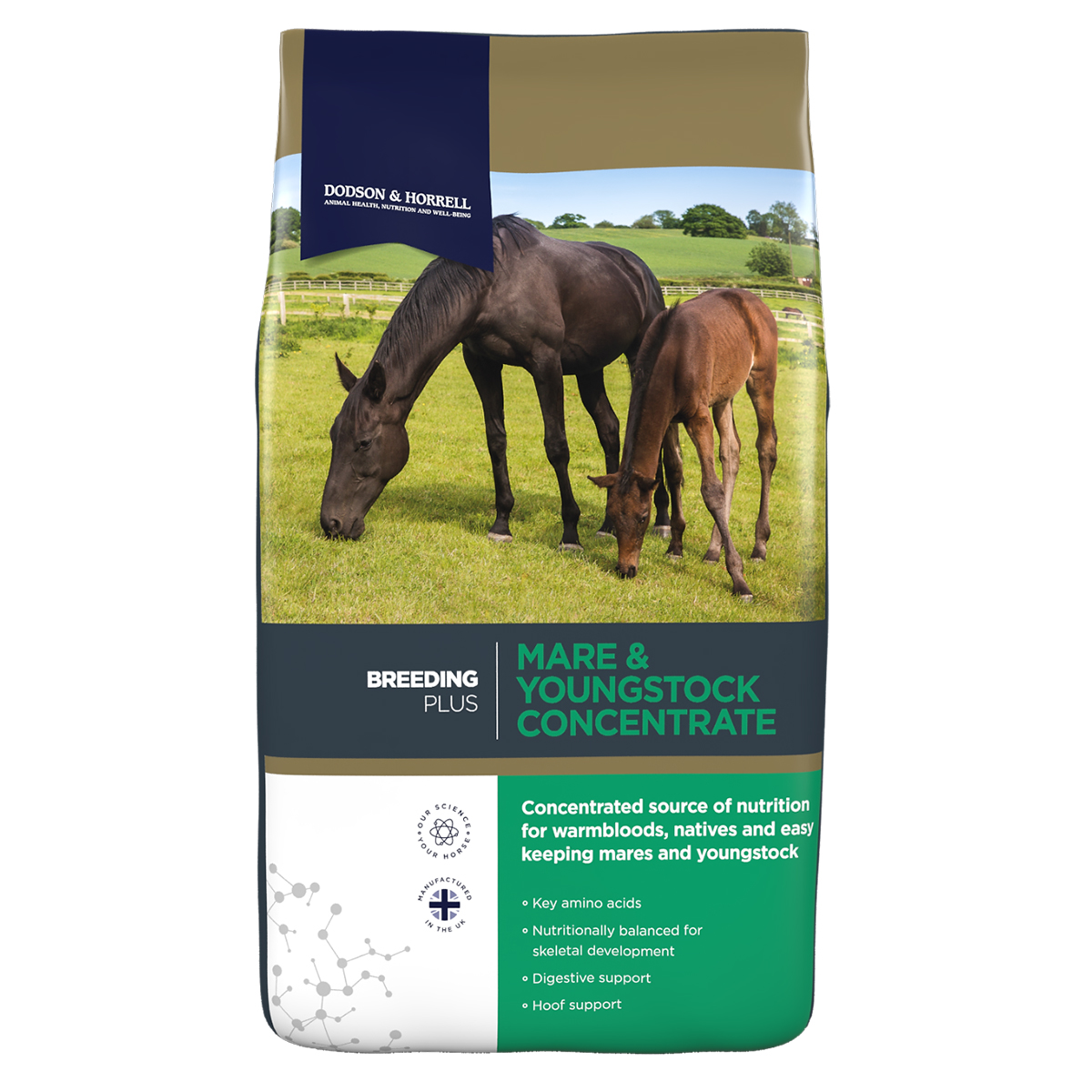 Produktansicht - Dodson & Horrell - Mare & Youngstock Concentrate