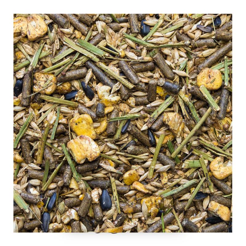 Mühldorfer Kräutermüsli Detailbild Müsli