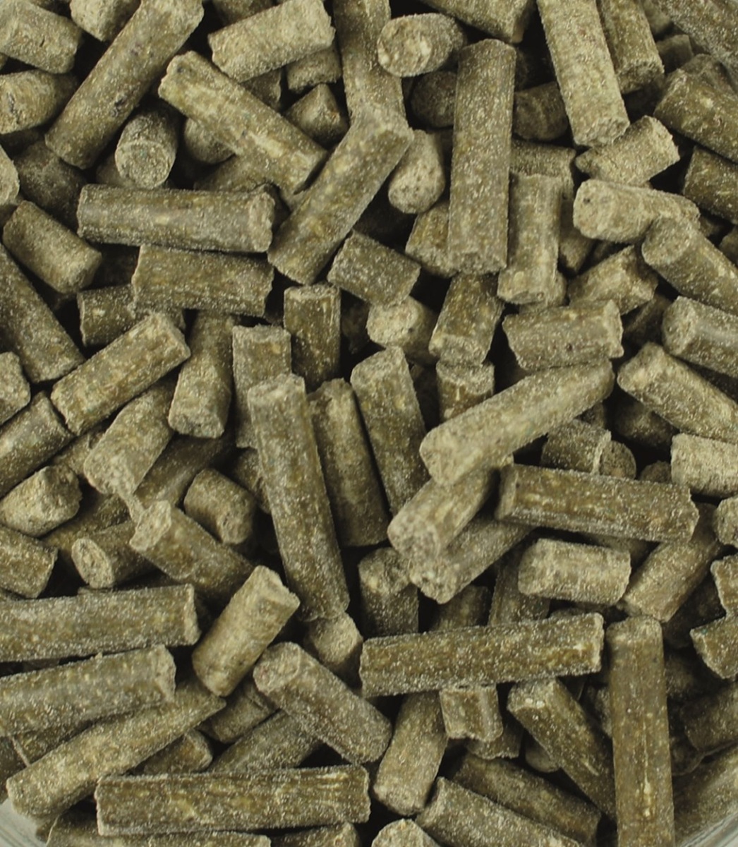 Produktansicht - LEXA - Amino-Muskelaufbau