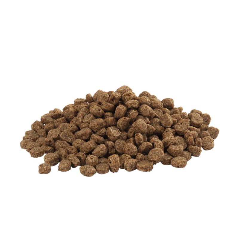 Versele-Laga Country's Best Floating Allround Detailbild Pellets