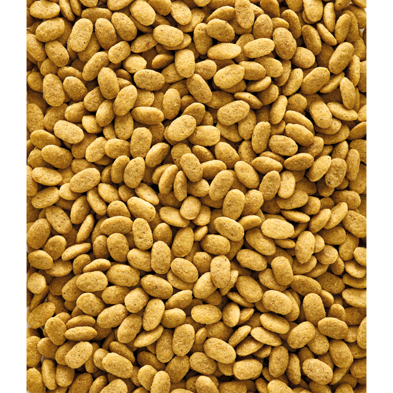 Versele-Laga NutriBird P15 Original Detail