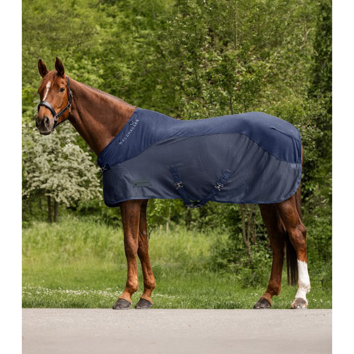 Produktansicht - Waldhausen - Fleece/ Fliegendecke Comfort