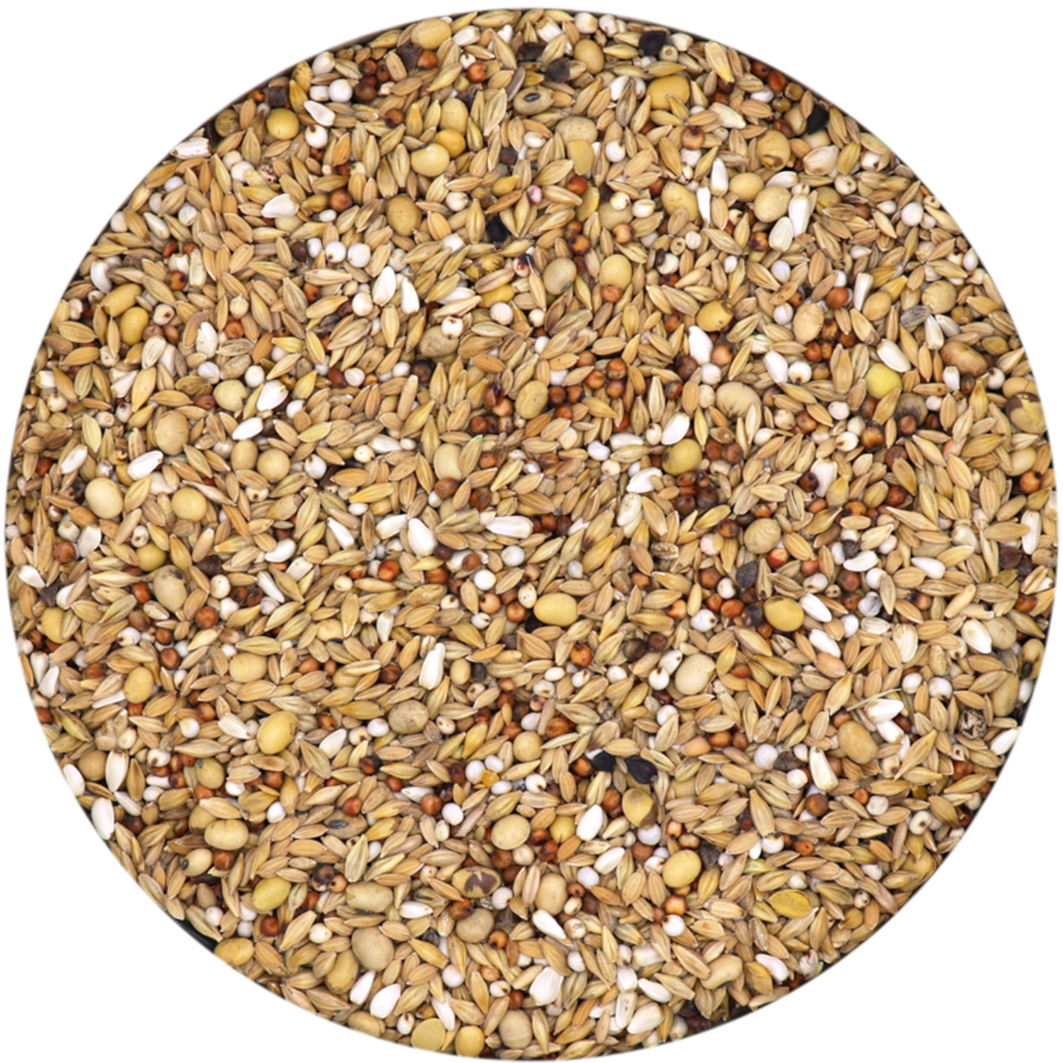 Versele-Laga Traditional Premium Hirn Mischung 1 Detail