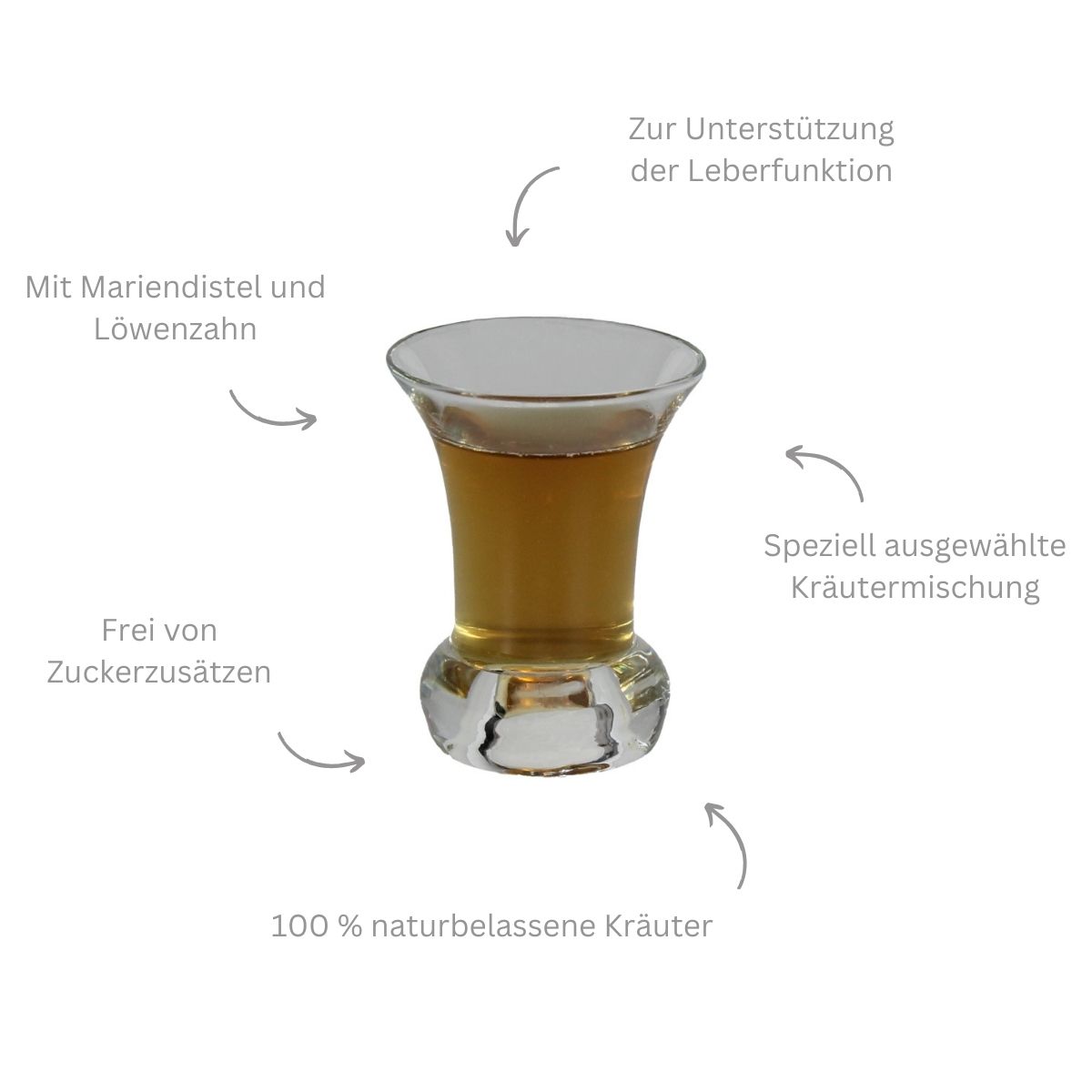 Ergänzungsfuttermittel flüssig für Pferde zur Unterstützung des Leberstoffwechsels