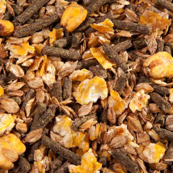 Eggersmann EMH Cool Müsli Detailbild Müsli